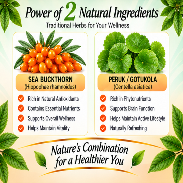 Sea Buckthorn Peruk Juice 1000ml || Premium Sea Buckthorn Peruk Juice for Daily Wellness